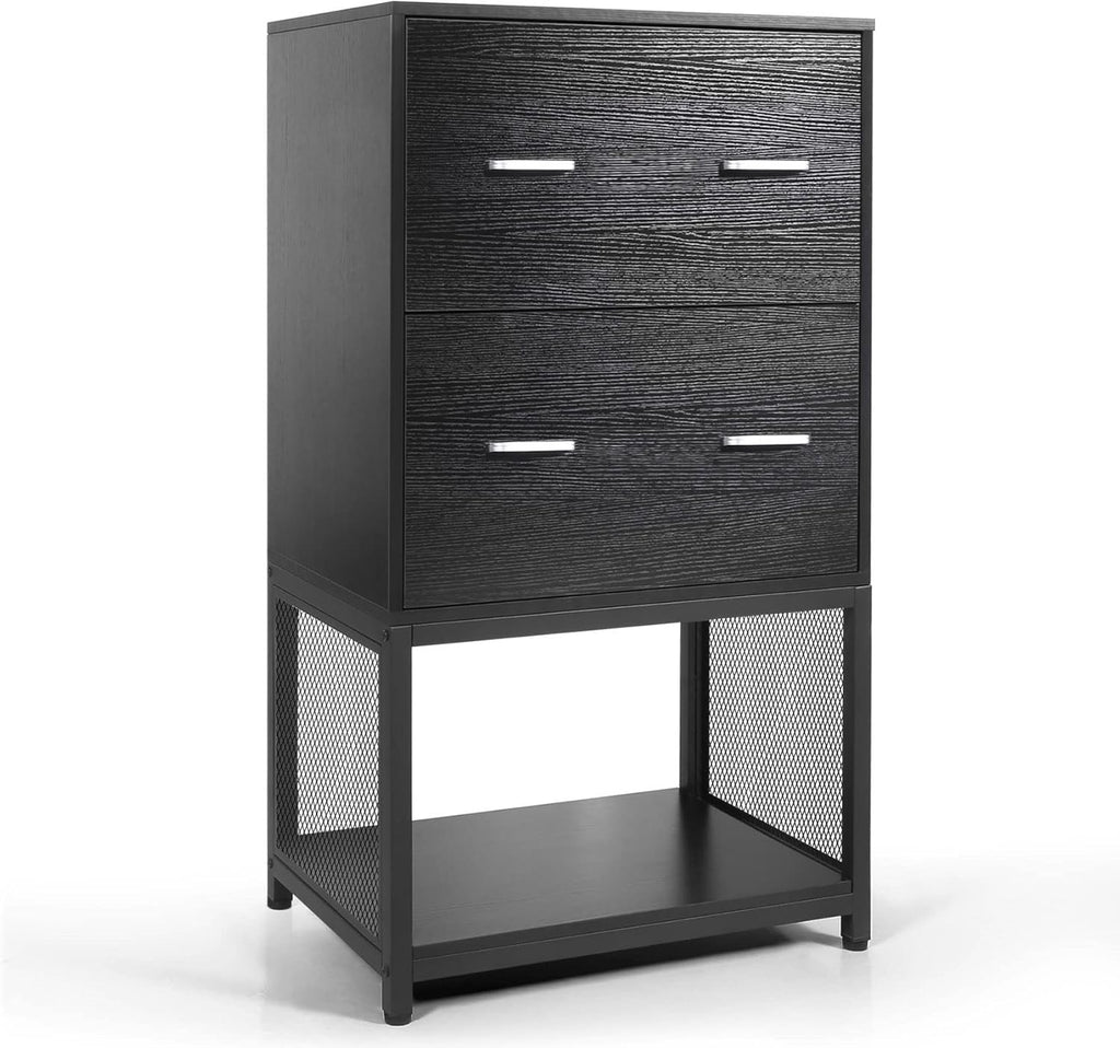 2 Drawer File Cabinet with Metal Wire Storage Shelves I109