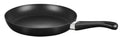 Induction 11x22 Fry Pan M39732