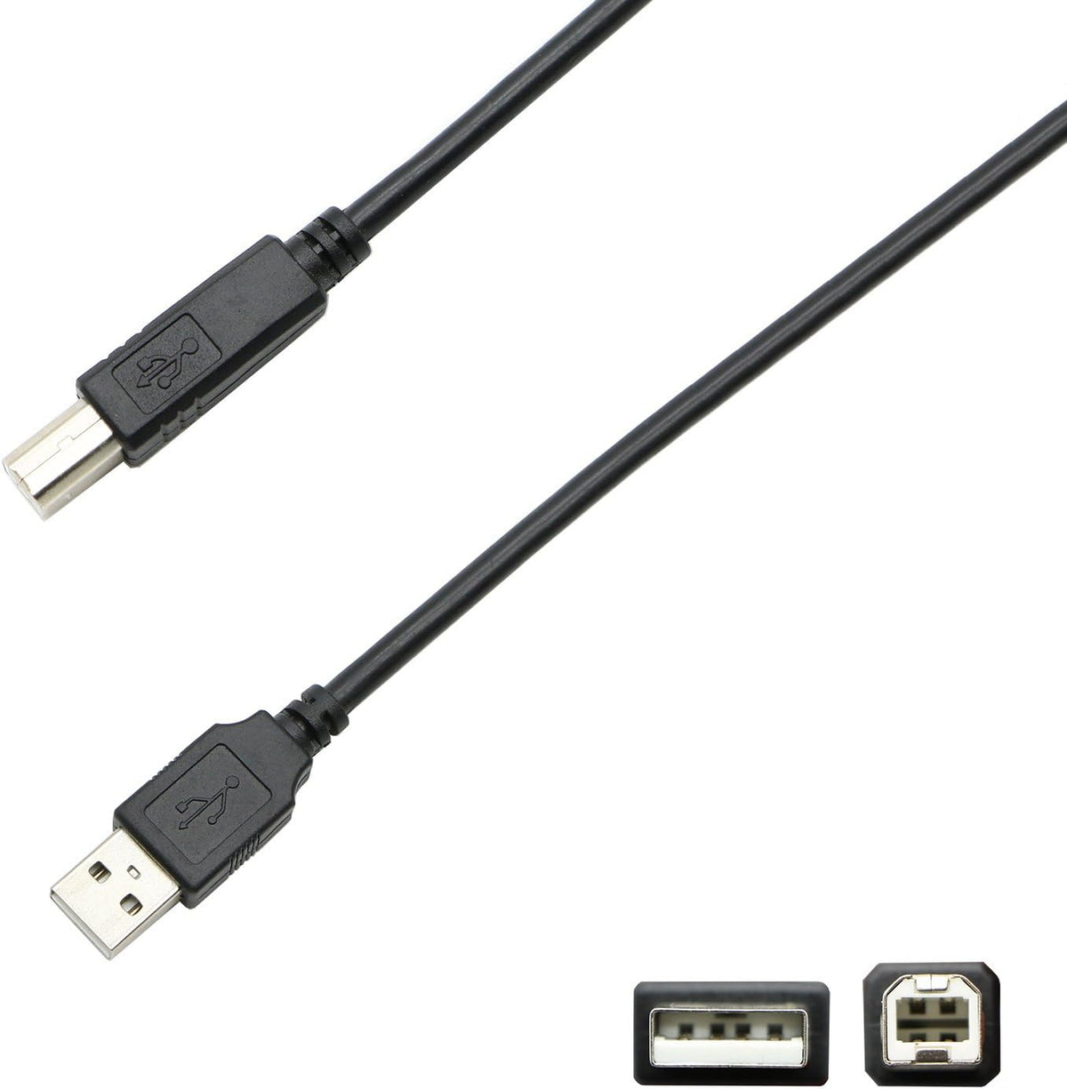 USB 2.0 Cable A Male to B Male (100 Feet) Pack of 2 L616842
