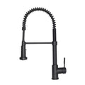Kitchen Faucet F96979