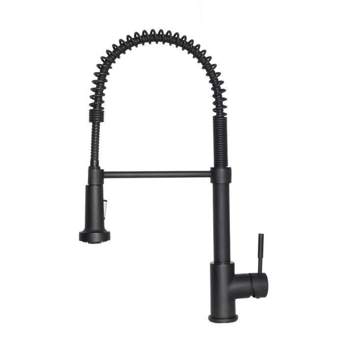 Kitchen Faucet F96979