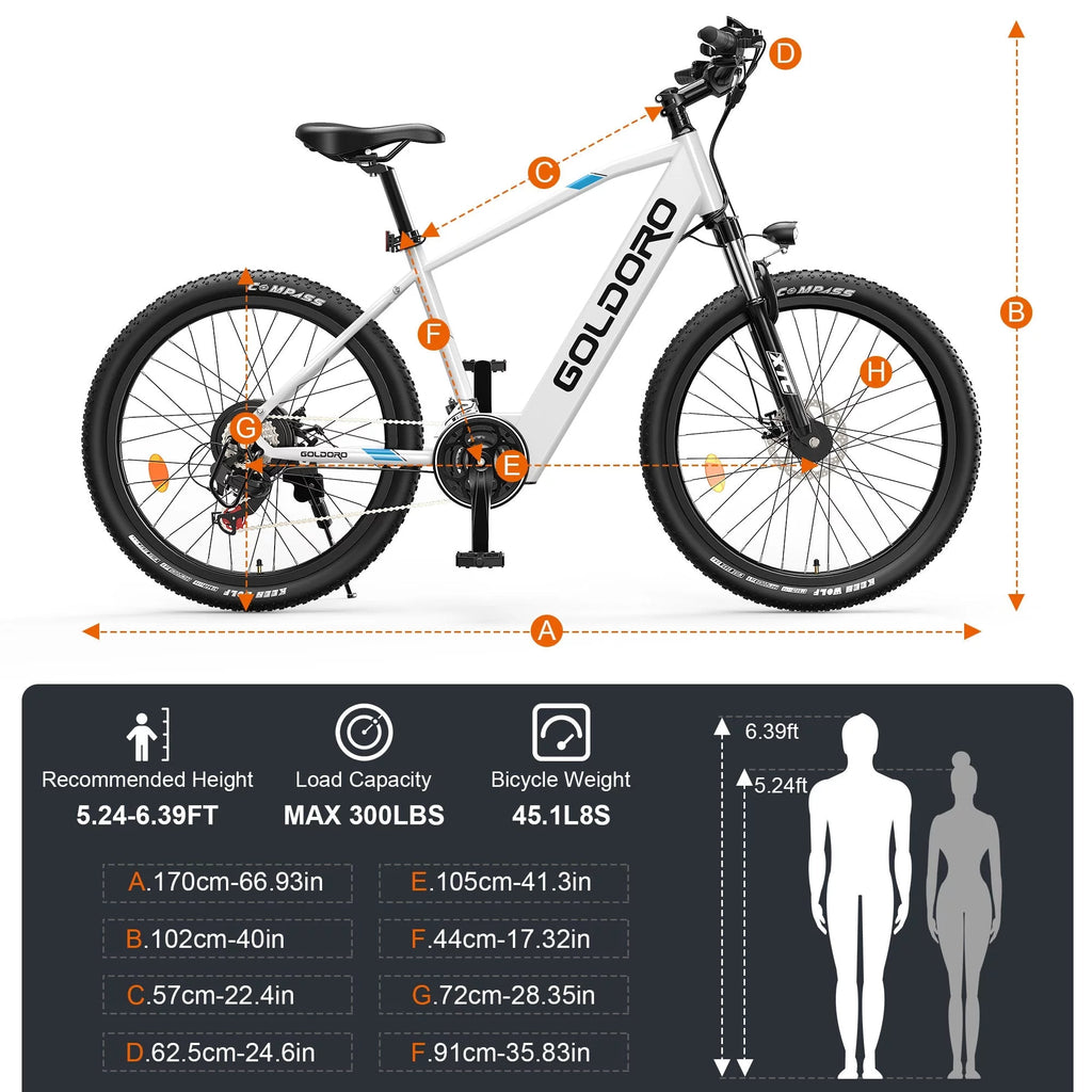 Electric Bike 26" Aluminum Alloy Mountain Bike 250W 21 Speed F503020