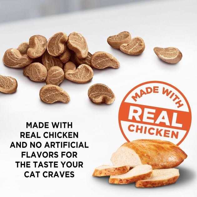 Cat Treats Soft V6129