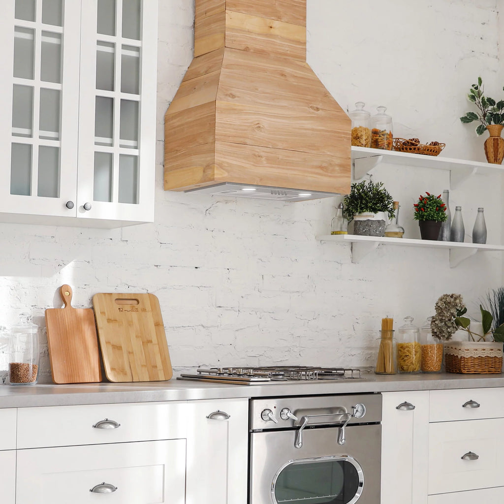 20 inch 450 CFM Stainless Steel Insert Range Hood M509