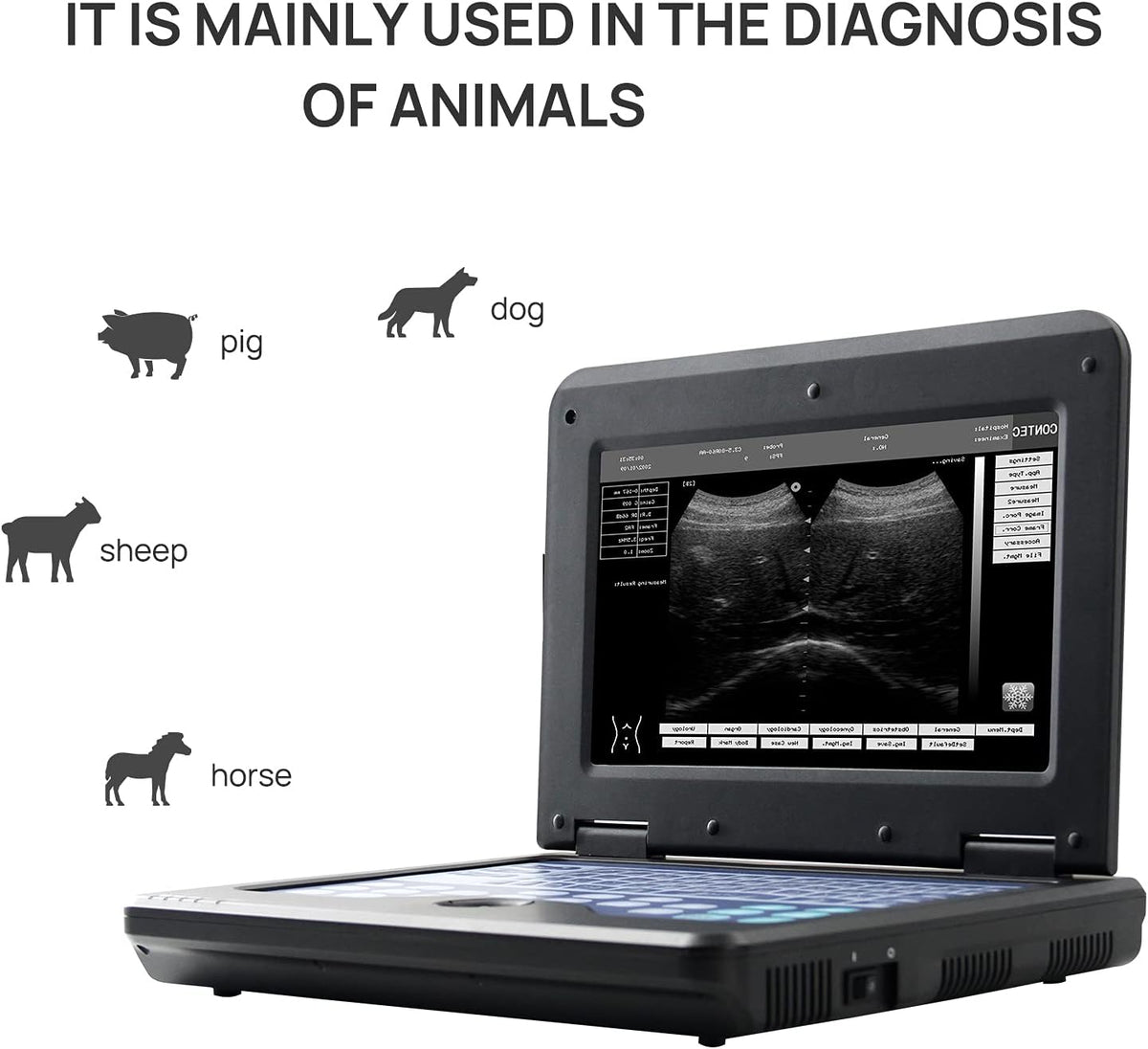 Veterinary Ultrasound Scanner with Convex and Rectal Linear Probe L361851