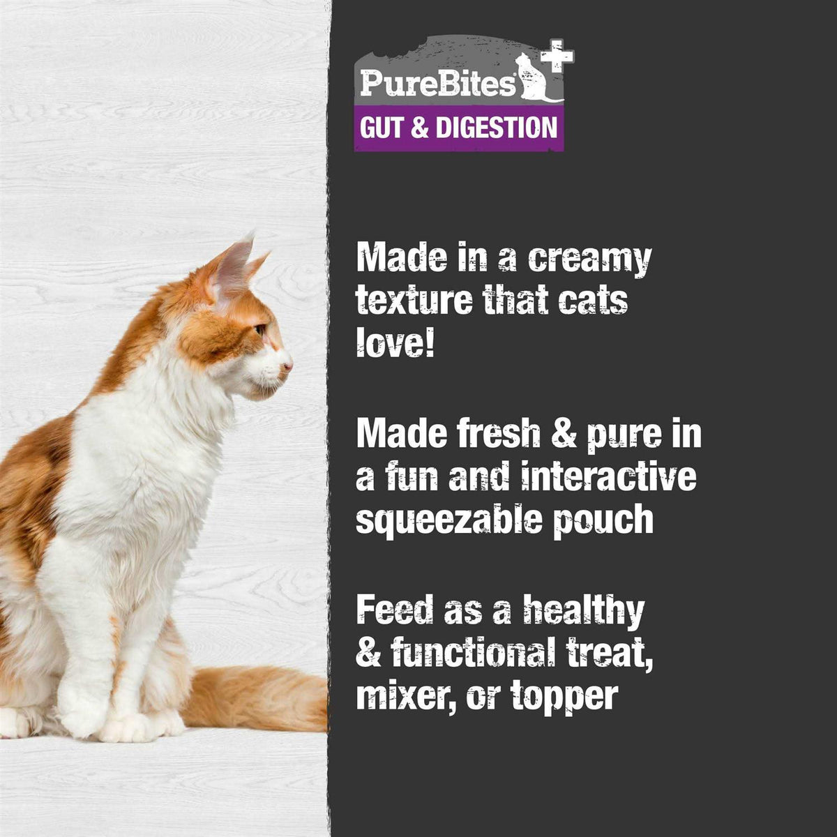 Squeezable Cat Food O841871