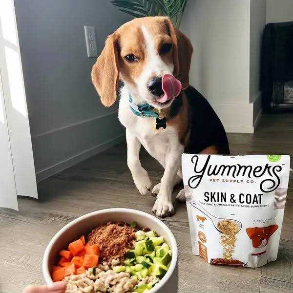 Beef Dog Food J432735