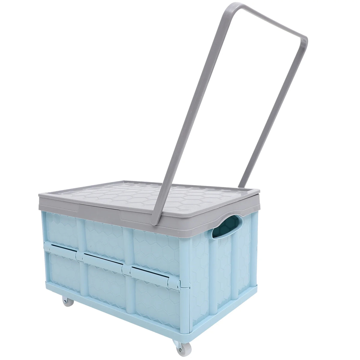 60 Gallon Blue Storage Container D902
