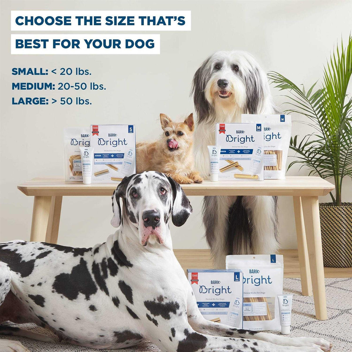 Dental Kit for Dogs A287