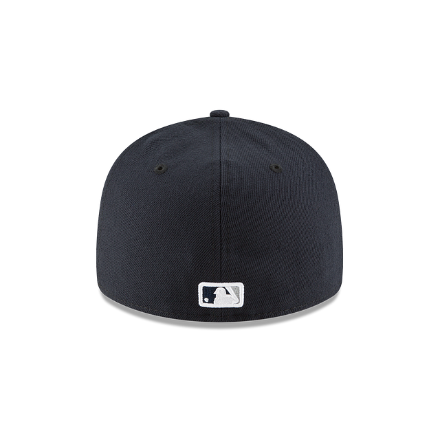 Low Profile Fitted Hat Y223012