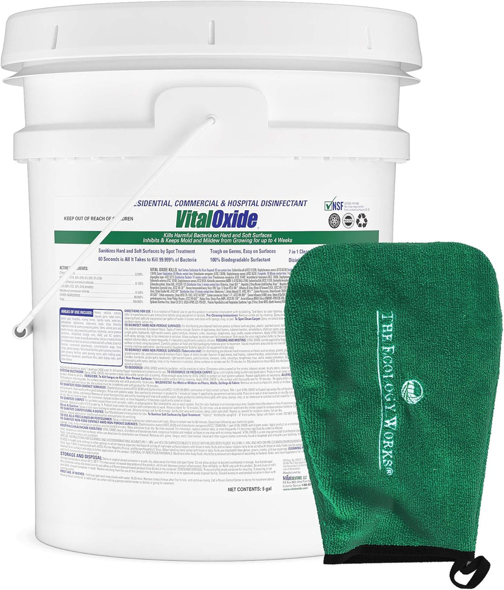 5 Gallon Disinfectant Cleaner with Applicator Mitt Y940322