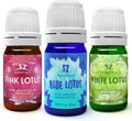 Blue Pink White Lotus Set of 3 Bottles 5ml Essential Oils D6230