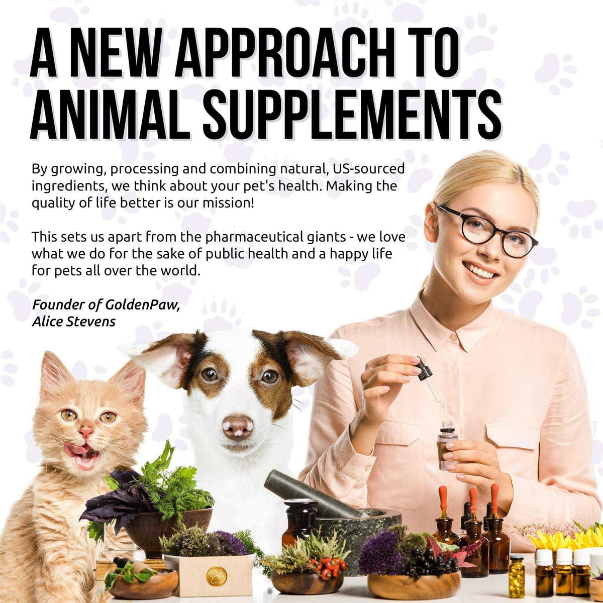 10 In 1 Cat & Dog Multivitamin Hip & Joint Vitamins S5026