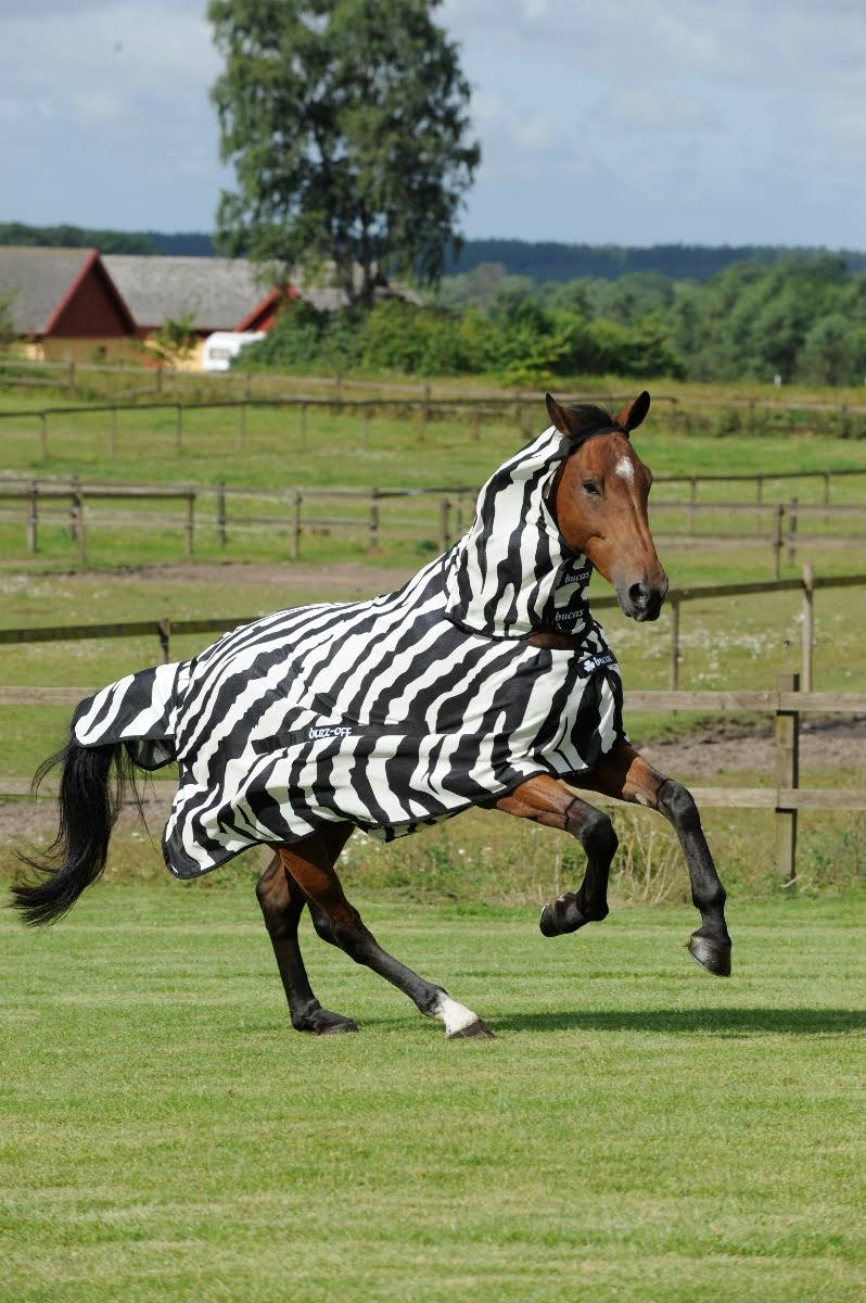 Zebra Full Neck P450981