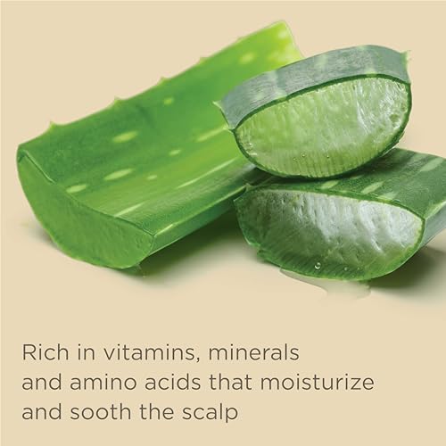 Moisture Shampoo and Conditioner Set with Jojoba Oil Q138436