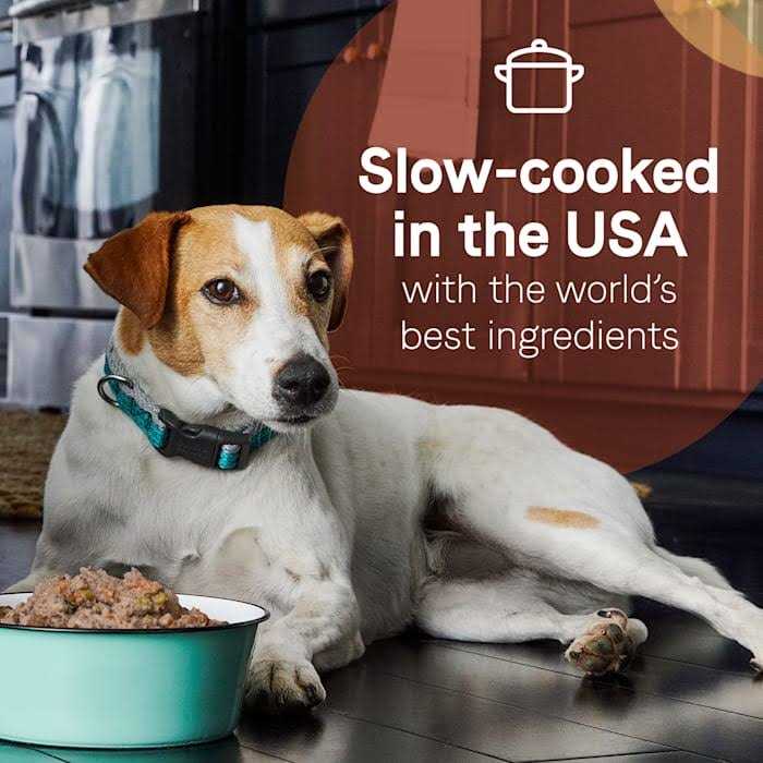 Salmon & Sweet Potatoes Wet Dog Food T601