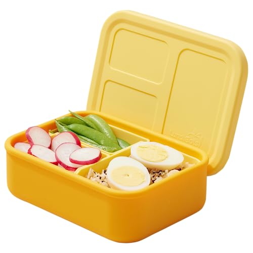 Silicone Multi-Compartment Lunch Box C189