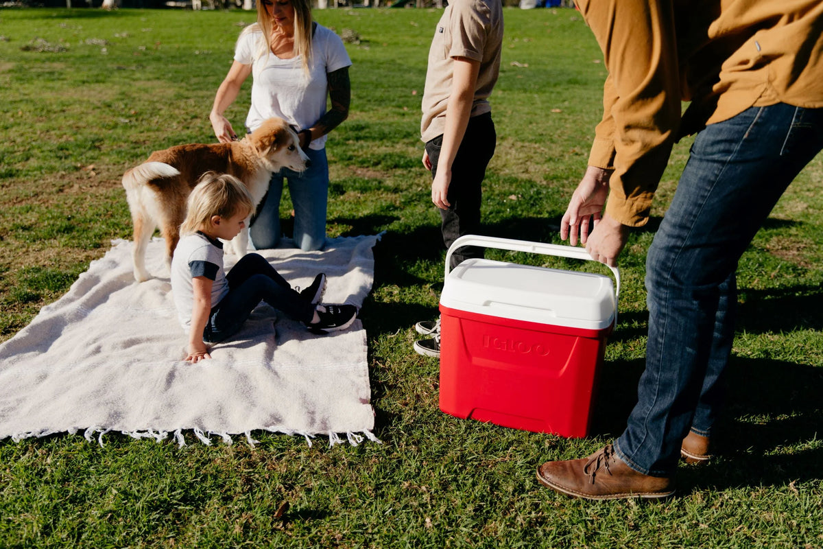 28 QT Red Ice Chest Cooler J614415