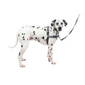 Easy Walk Harness Y483