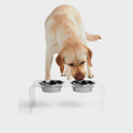 Clear Double Bowl Pet Feeder N268933