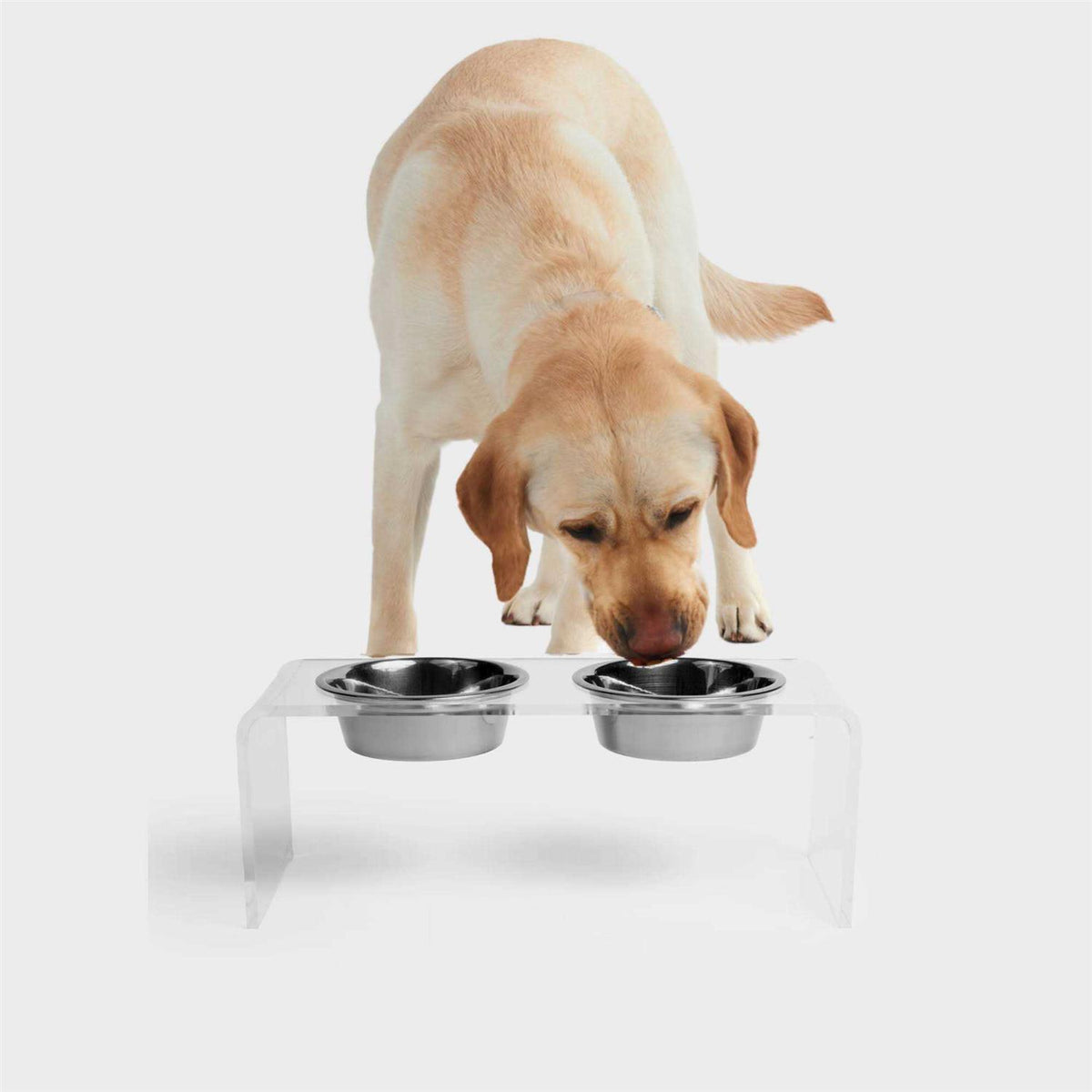 Clear Double Bowl Pet Feeder N268933