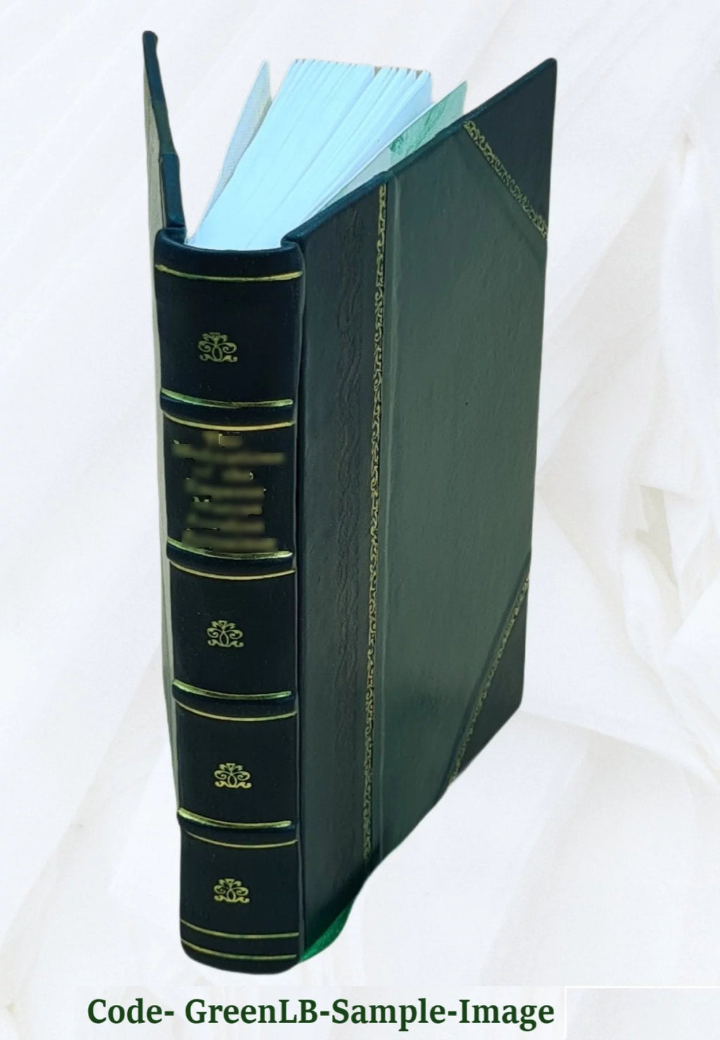 Leather Bound U321649