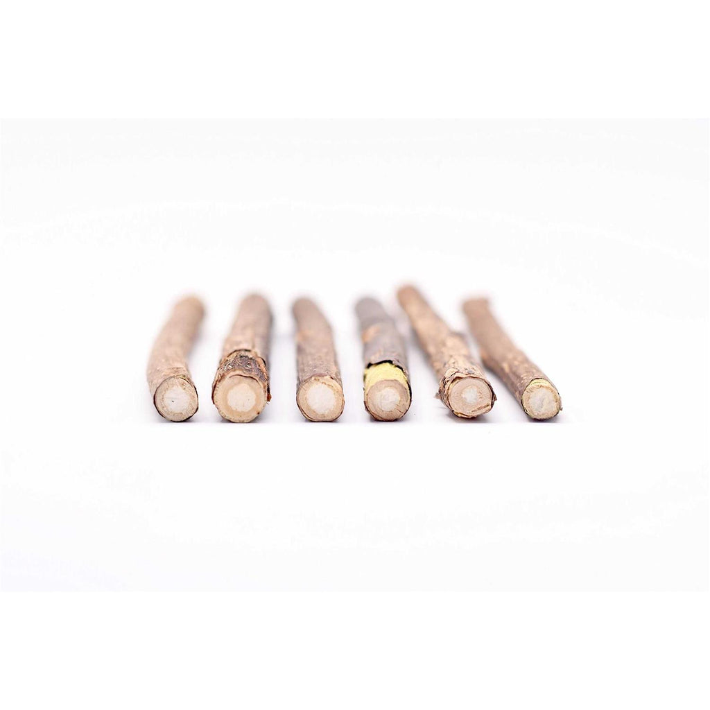 Silver Vine Stick Cat Chew Toy V416