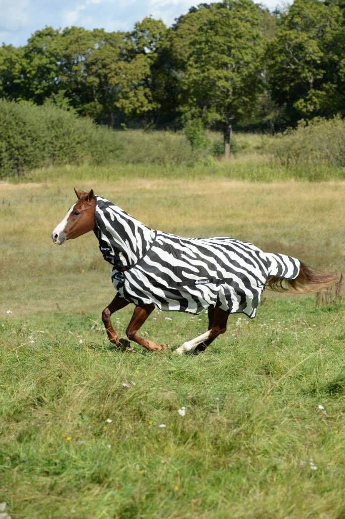 Zebra Full Neck P450981